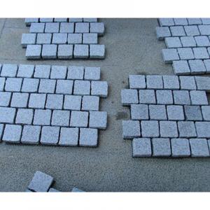 Paving stone 1