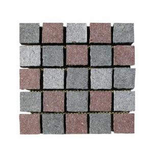 Paving stone 9