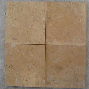 Limestone Paving Stone 15